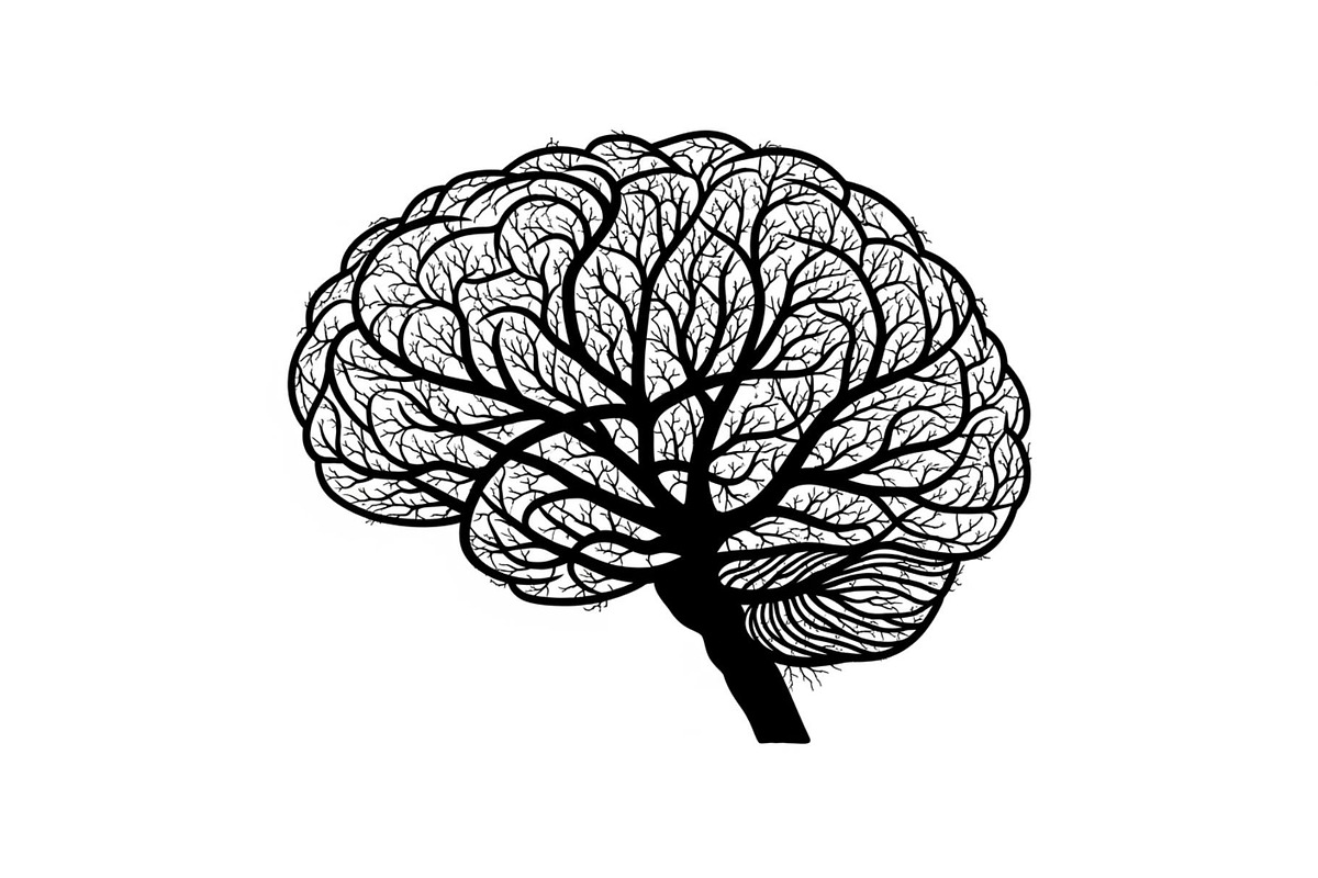 Brain Tree Knowledge Design Bundle, an Illustration by Gaye Art (Photo 27 of 31)