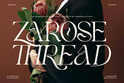 Pearce Vogue - Luxury Serif, a Serif Font by Qweera Studio (Thumbnail 4 of 10)