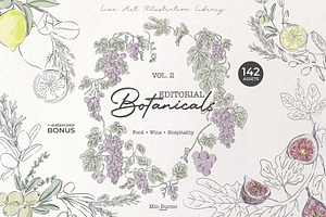 Editorial Botanical Line Art, an Object Illustration by Mio Buono
