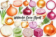 Watercolor Onion Clipart, an Illustration by Libby Wishes (Thumbnail 1 of 6)