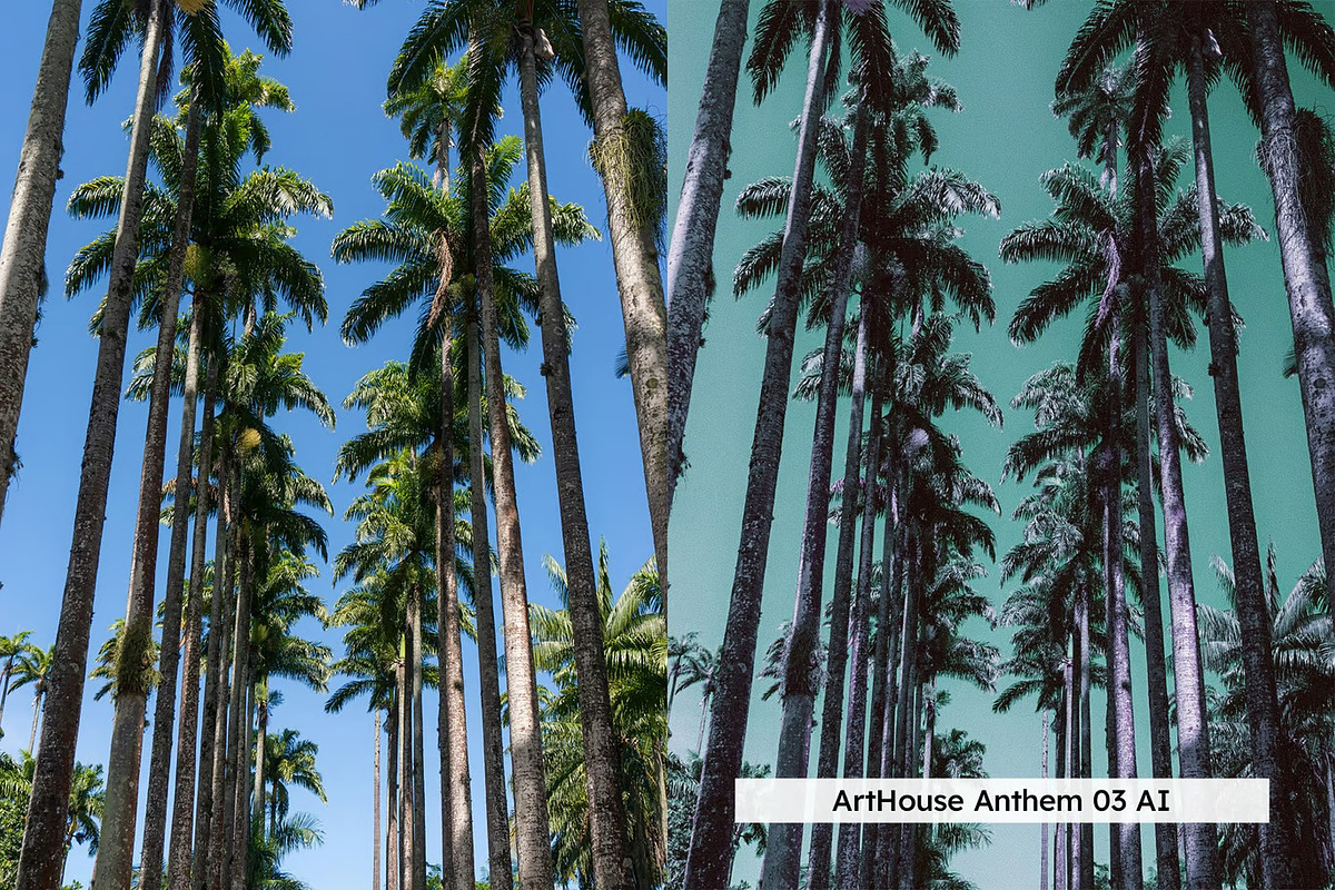 20 Alt Film Lightroom Presets & LUTs, a Preset Add-On by Hubzway (Photo 10 of 13)