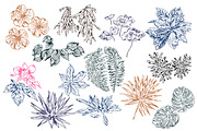 TROPIC SET, an Animal Illustration by Tanya Akhmett (Thumbnail 2 of 5)