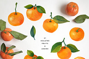 Watercolor Mandarin Fruits Vol. 2, a Food Illustration by Olga Begak Art & Design (Thumbnail 2 of 8)