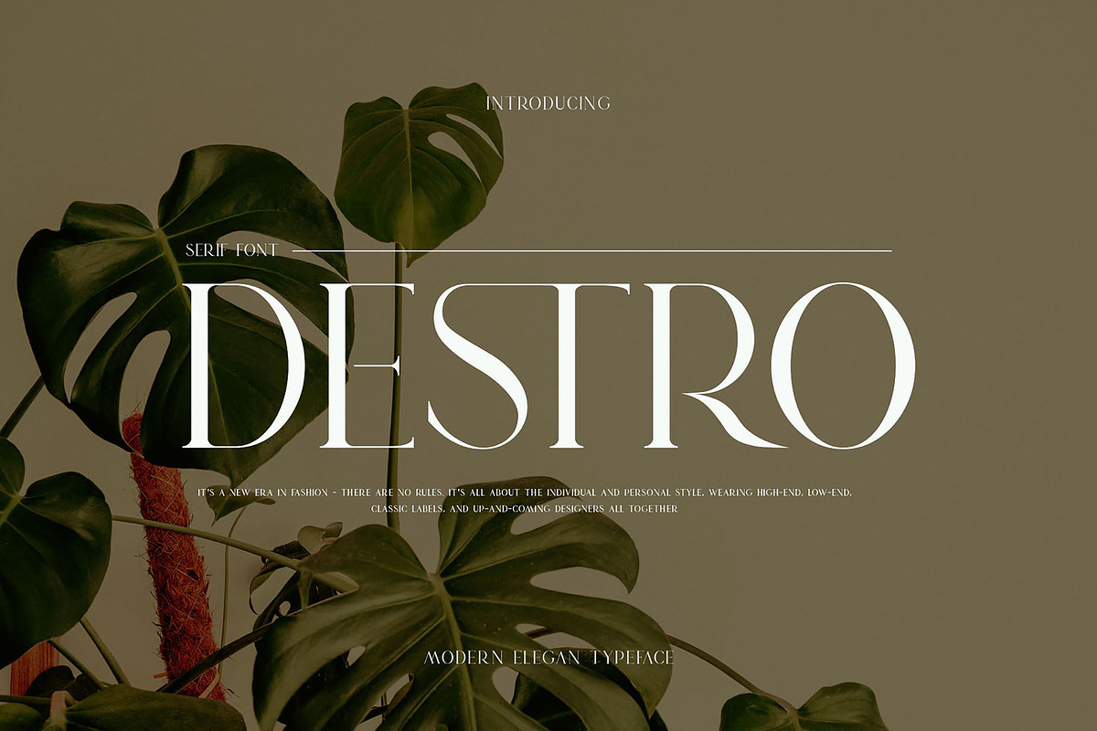 DESTRO Ligature Serif Font, a Serif Font by Humaira_std (Photo 1 of 8)