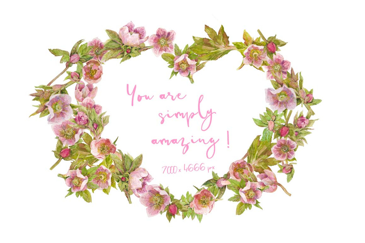 Hearts-watercolor-Hellebore, an Illustration by watercolorwild.graphics (Photo 16 of 19)