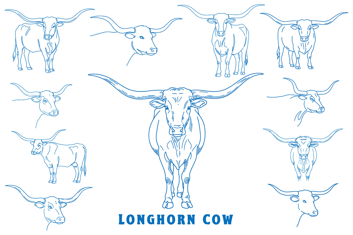 Texas Longhorn Cow Line Art Bundle, an Animal Illustration by MkStudio