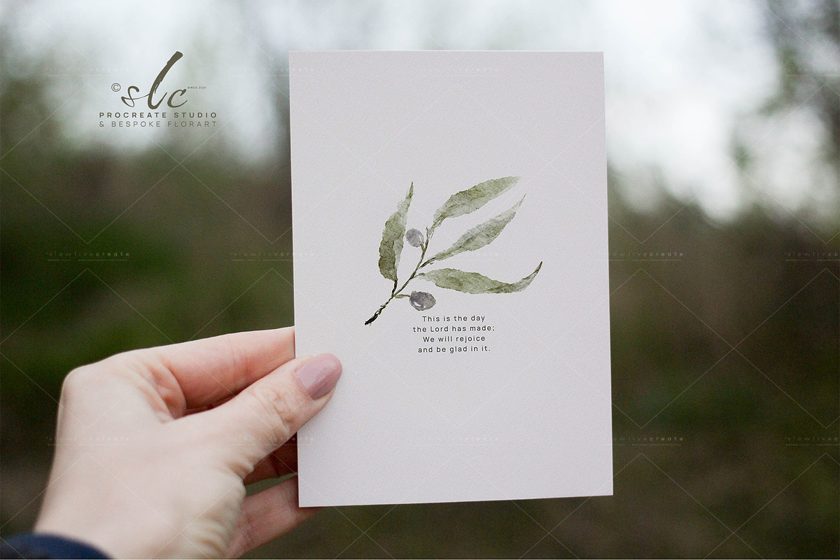 Olives Branches Watercolor, a Seasonal Illustration by slowlivecreate (Photo 5 of 5)