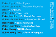 Raker, a Sans Serif Font by Wordshape (Thumbnail 2 of 5)