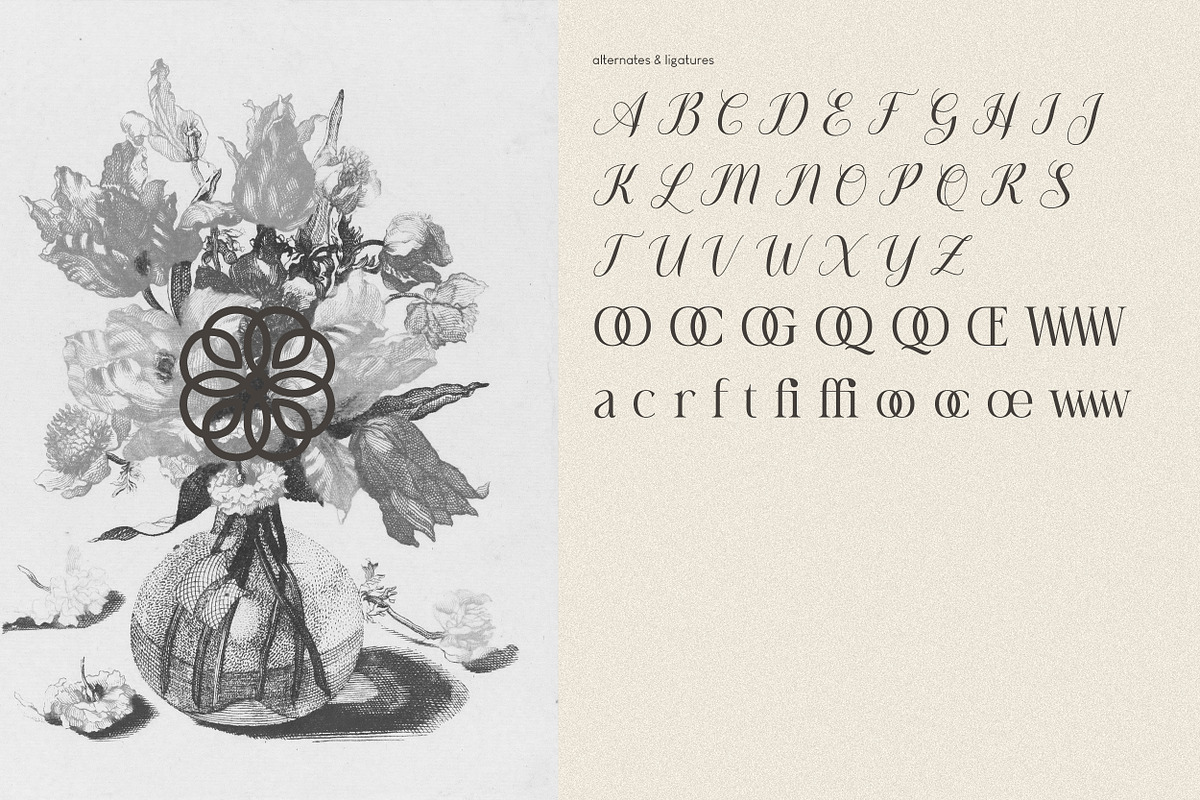 Amarieta Elegant Font, a Serif Font by Hishand Studio (Photo 2 of 10)