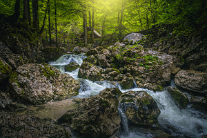 Brook with cascades in the forest, a Nature Photo by Alpine Dreams