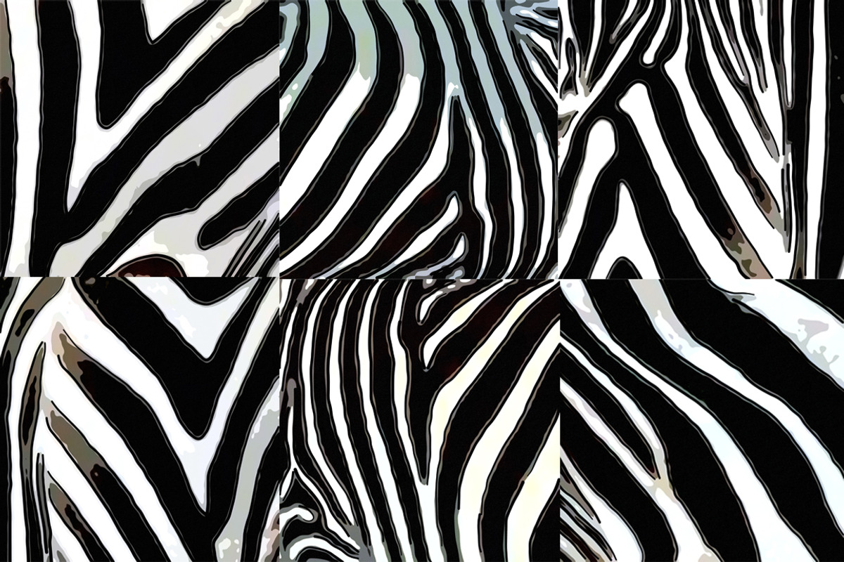 Zebra Digital Paper - Volume 1, a Pattern Graphic by PixieSparks (Photo 2 of 3)