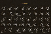 Amour Script, a Script Font by Bosstype Studio (Thumbnail 8 of 16)