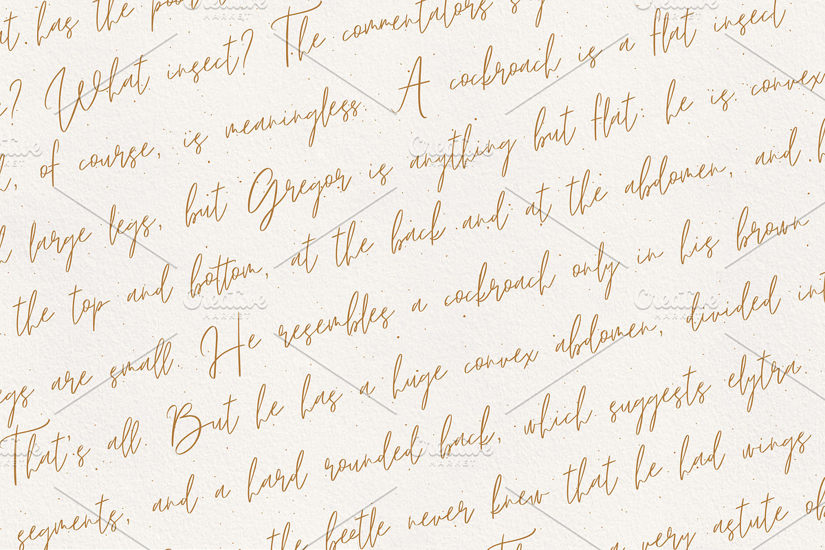 Lyuli Font Script, a Script Font by Anna (Photo 6 of 9)