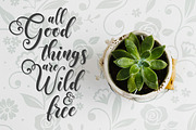 Fairytails | Modern Calligraphy, a Script Font by Almeera Std (Thumbnail 11 of 12)