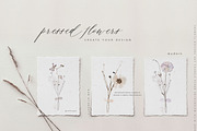 Pressed Flowers & Brush Strokes Png, an Object Graphic by by creative paper (Thumbnail 6 of 17)