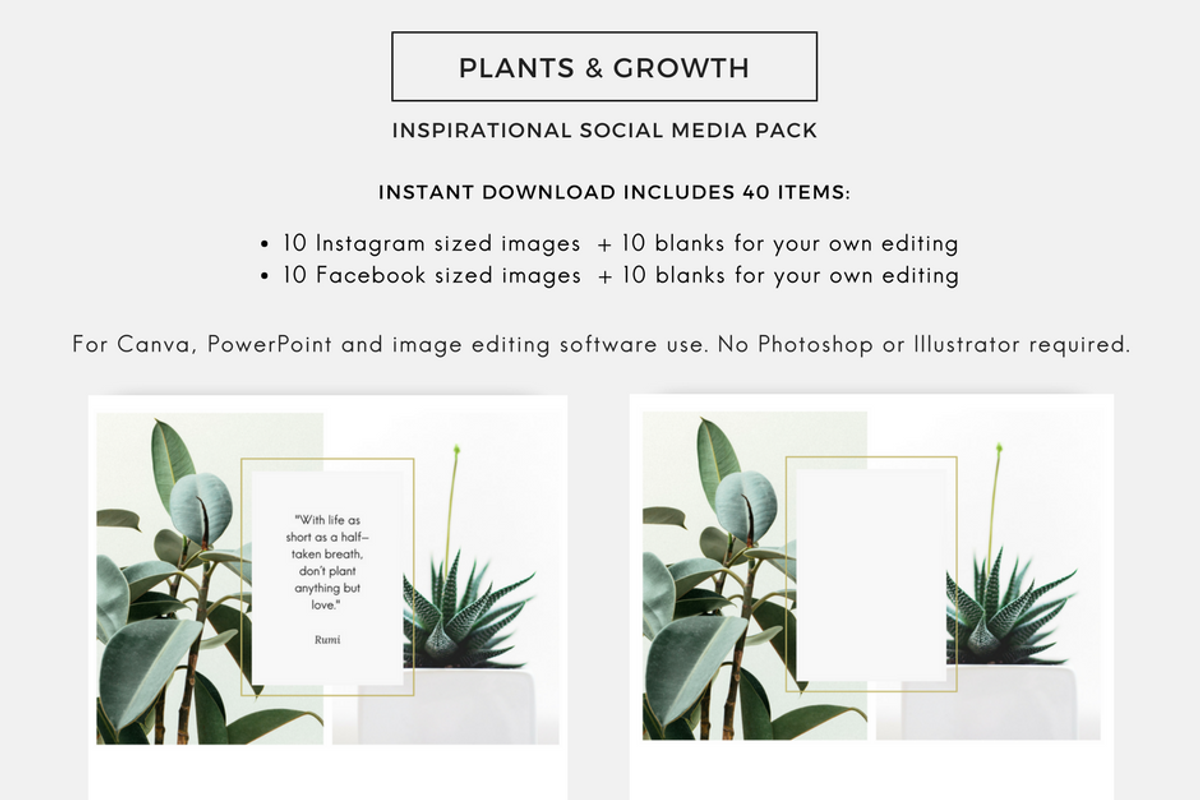 PLANTS & GROWTH Social Media Pack, an Object Graphic by Illumineer Media & Design (Photo 3 of 6)