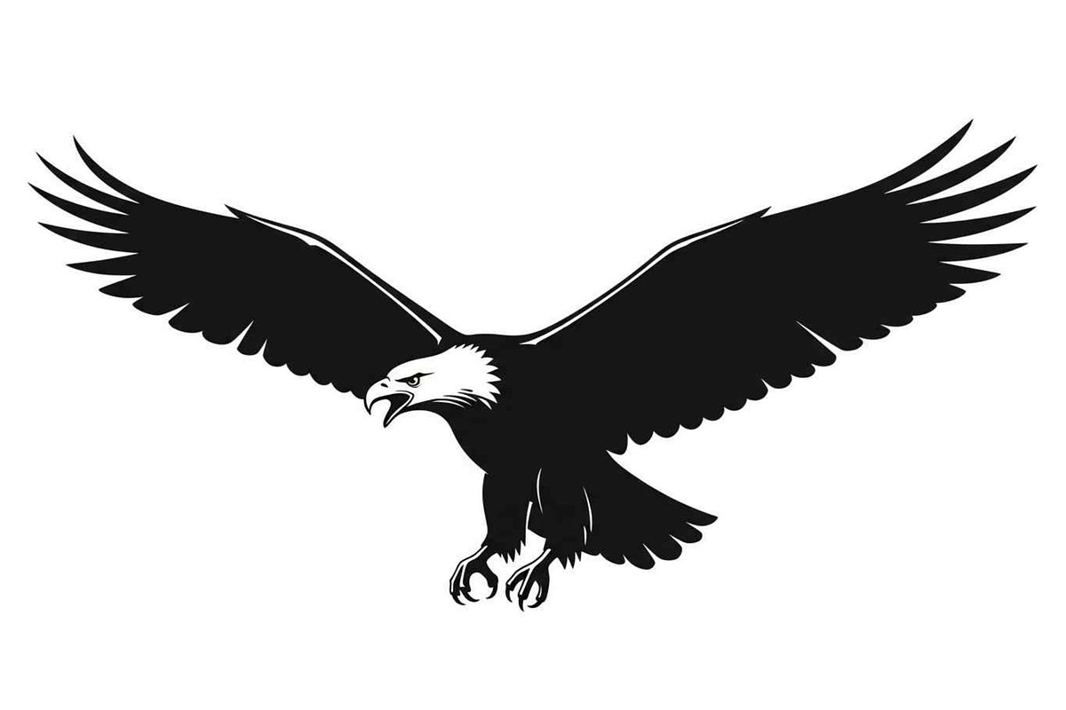 50 Flying Eagle Silhouette Vector Bu, an Illustration by Designs_River (Photo 50 of 51)