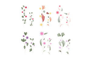 Soft watercolor botanical, an Object Illustration by okskukuruza