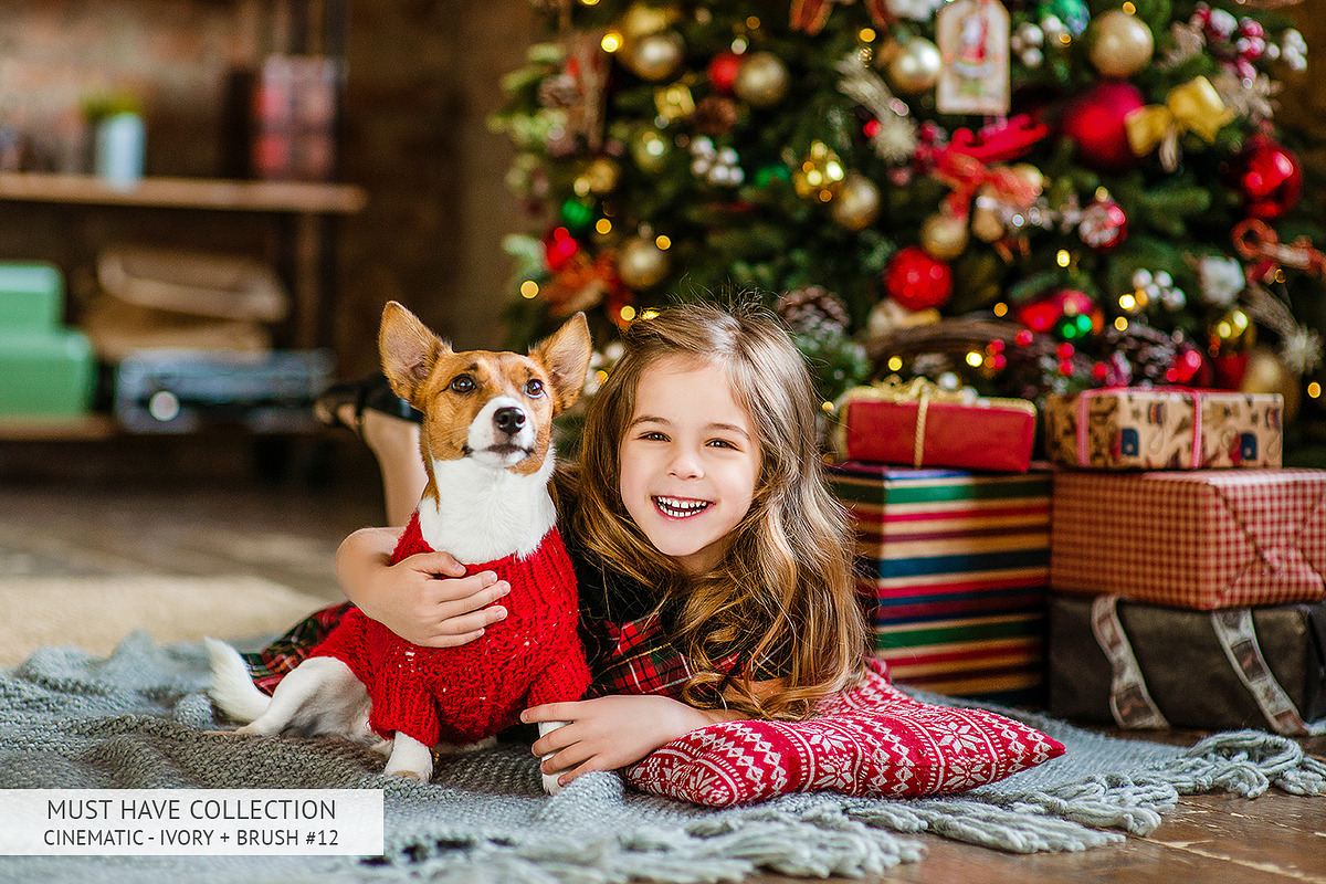 Lr Presets - Must-Have Collection, a Plug-in Add-On by FixThePhoto (Photo 32 of 52)