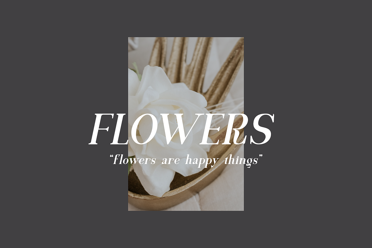 Motzeda - Display Serif, a Serif Font by Randi Irvan | Rvandtype (Photo 2 of 12)