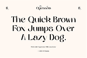 Quessera Font, a Sans Serif Font by Oui Studio (Thumbnail 4 of 21)