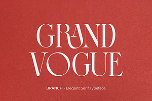 BRANCH - Elegant Serif Typeface