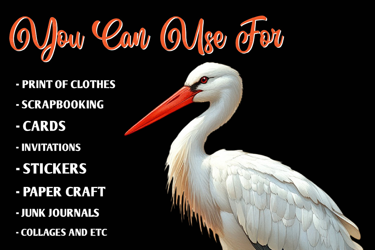 White Stork Clipart, Heron Clipart, an Illustration by CreationArt (Photo 7 of 9)