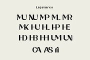Canuas - Modern Serif Font, a Sans Serif Font by Cut Story (Thumbnail 10 of 13)
