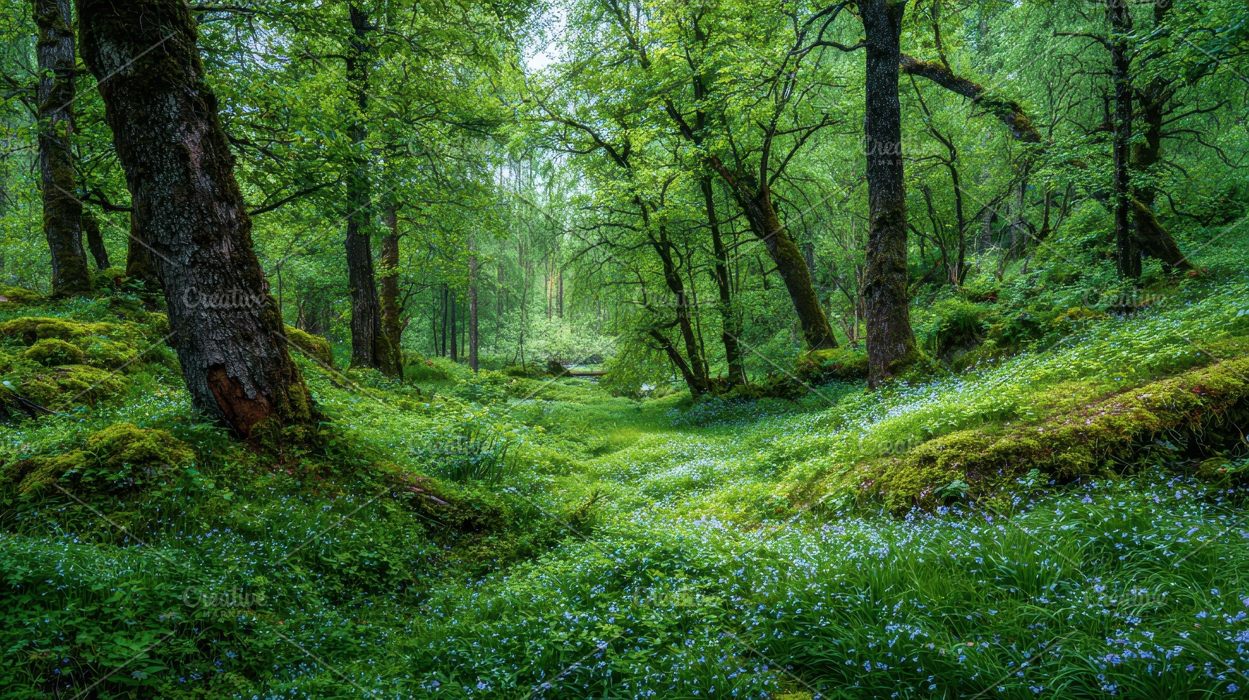 Vibrant spring forest scene, a Photo by Pavel_design