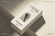SLTF BOXROOM - Modern Serif Typeface, a Serif Font by SilverStag Type Foundry (Thumbnail 18 of 30)