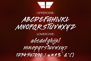 Legault Font Family, a Script Font by The Thrill of Design (Thumbnail 6 of 12)