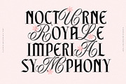 Eldoria Maison Luxury Mixed Font, a Script Font by Letterhend Studio (Thumbnail 9 of 9)