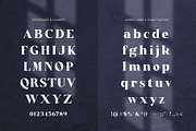 Karina Elegant Serif Font, a Serif Font by Graphicxell (Thumbnail 10 of 10)