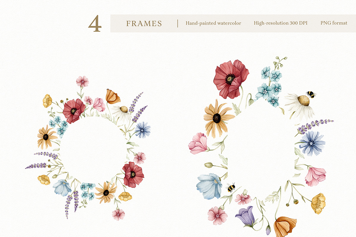 Watercolor Botanical Wildflowers Set, a Decorative Illustration by Carol Lozove (Photo 18 of 36)