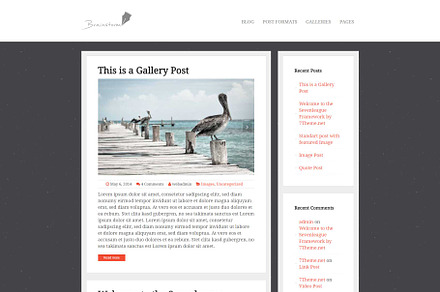 Brainstrom - Responsive Blog Theme, a WordPress Template by 7Theme