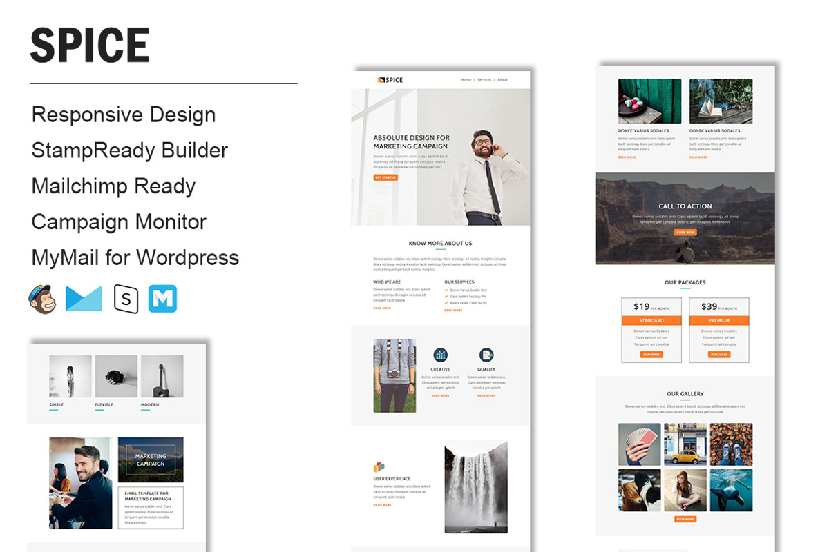 Spice - Responsive Email Template, an Email Template by FourDinos (Photo 1 of 3)