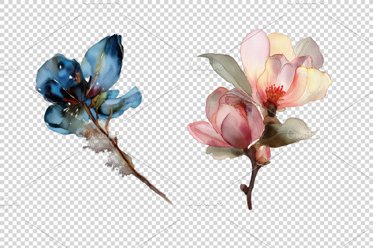 Watercolor Flowers, a Decorative Illustration by BazziBa♥ (Photo 9 of 9)