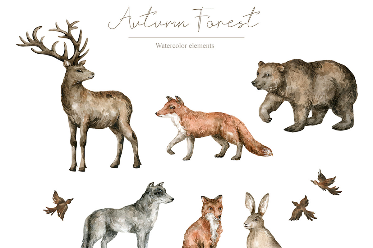 Autumn Forest. Watercolor set, an Animal Illustration by Kreker Kate (Photo 3 of 9)