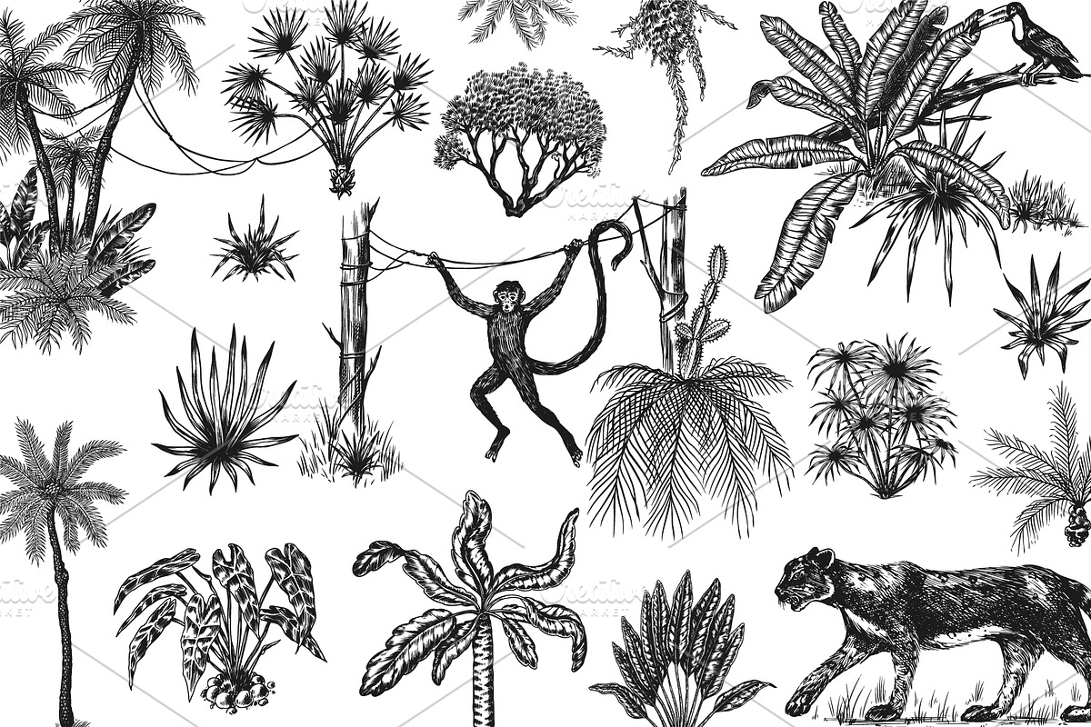 Tropical trees and plants. Jungle, a Decorative Illustration by Arthur Balitskiy (Photo 2 of 4)