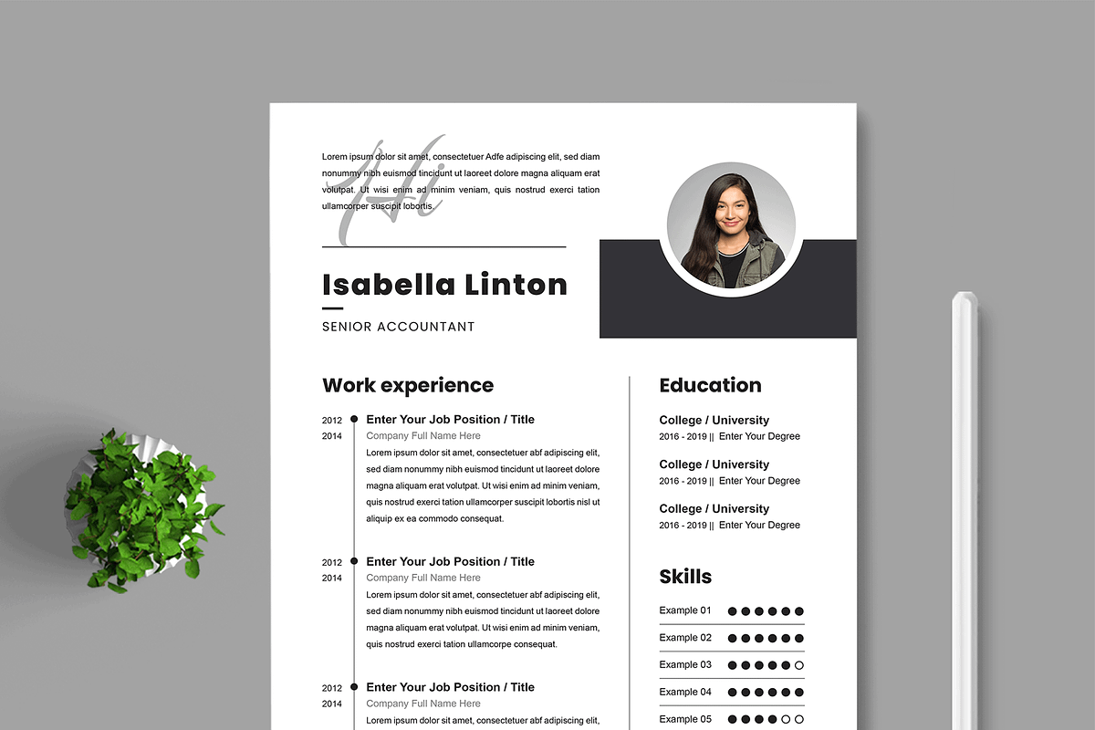 Professional Resume Layout, a Resume Template by MightyDesign (Photo 2 of 8)