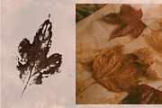 Hand-crafted Herbal Imptints, an Object Graphic by Dervik Art Store (Thumbnail 4 of 10)