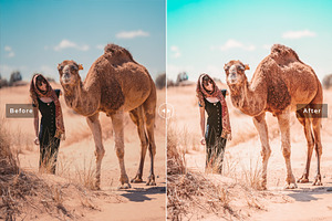 Majorelle Pro Lightroom Presets