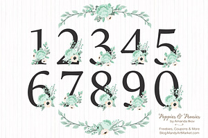 Mint Floral Numbers With Vectors, an Illustration by Amanda Ilkov