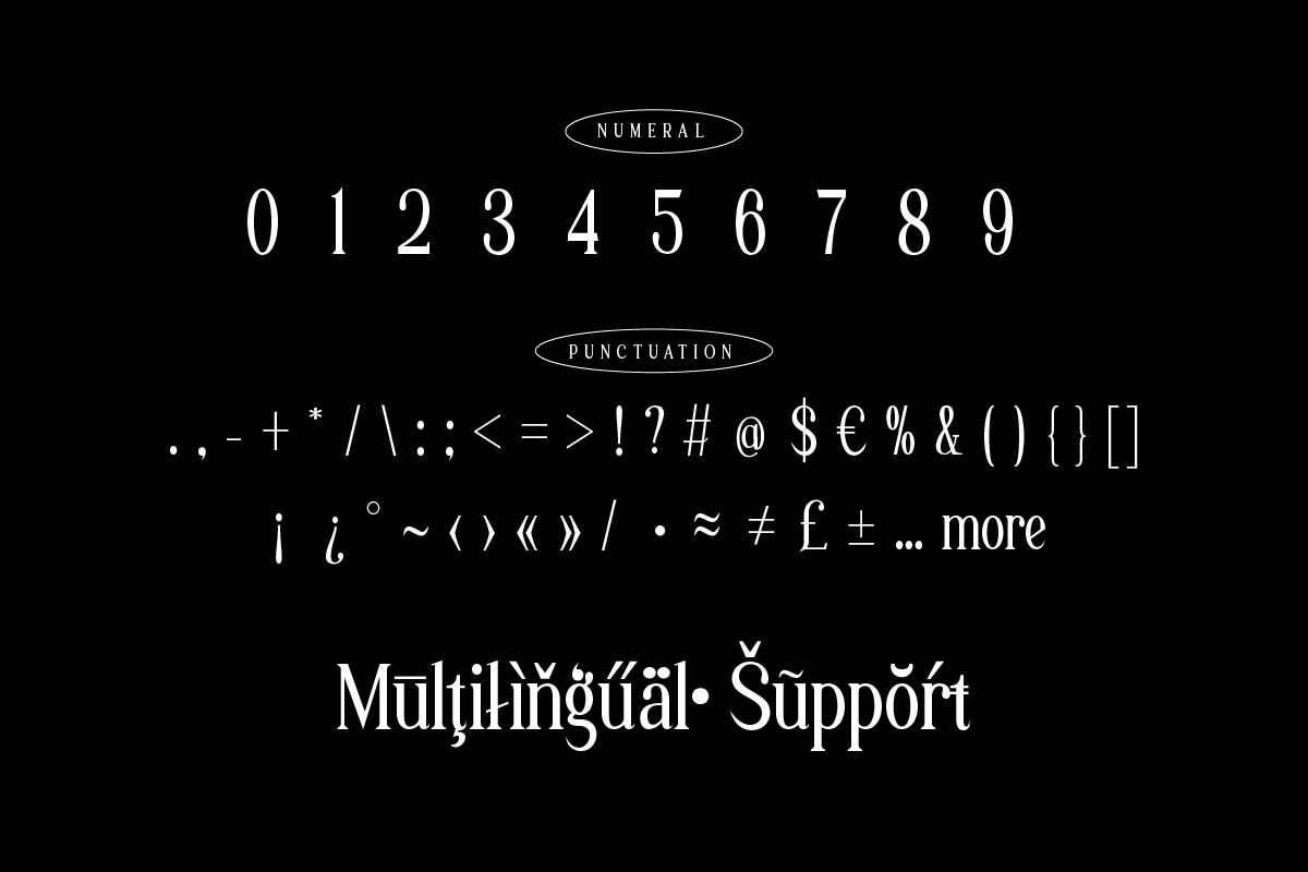 Laqenut - Serif Display Font, a Serif Font by twinstd (Photo 9 of 10)