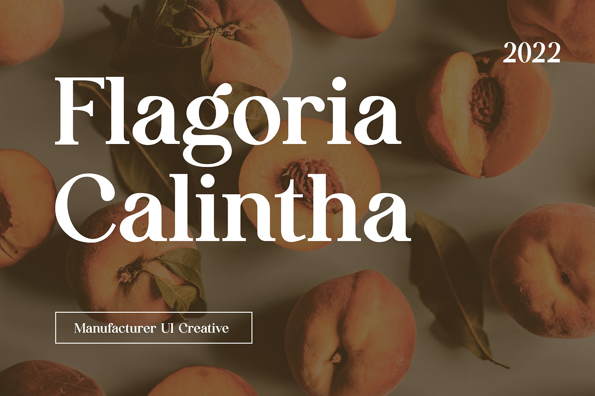 Flagoria Calintha Serif Font Family, a Serif Font by UICreative (Photo 1 of 14)