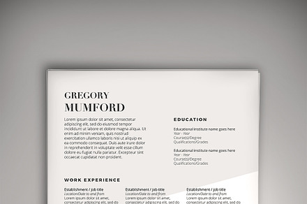 Flex CV (DOC + PSD) + Business Card