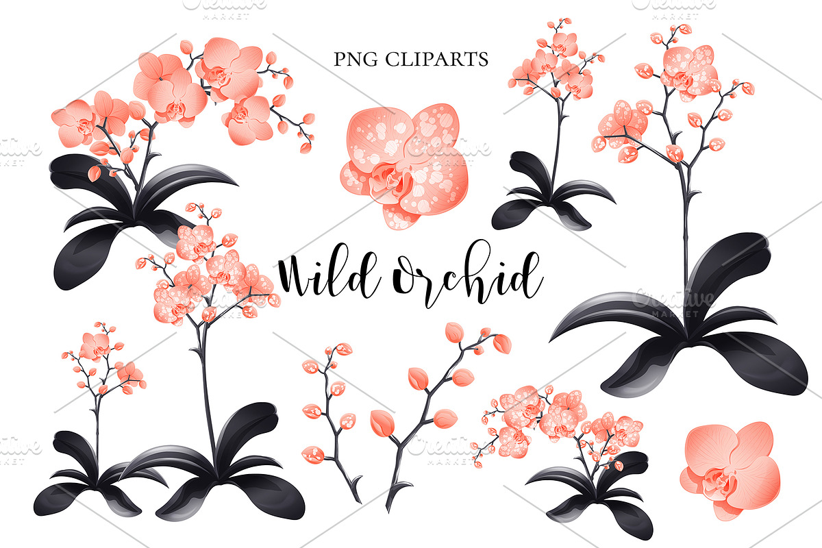 Orchid Clipart Design, a Graphic by NKTN graphics (Photo 2 of 5)