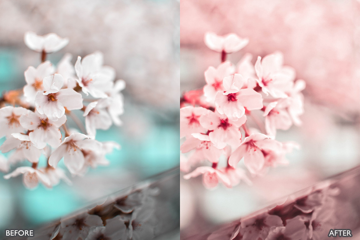 Sakura Rose Gold Lightroom Presets, a Preset Add-On by AAA Presets (Photo 5 of 23)