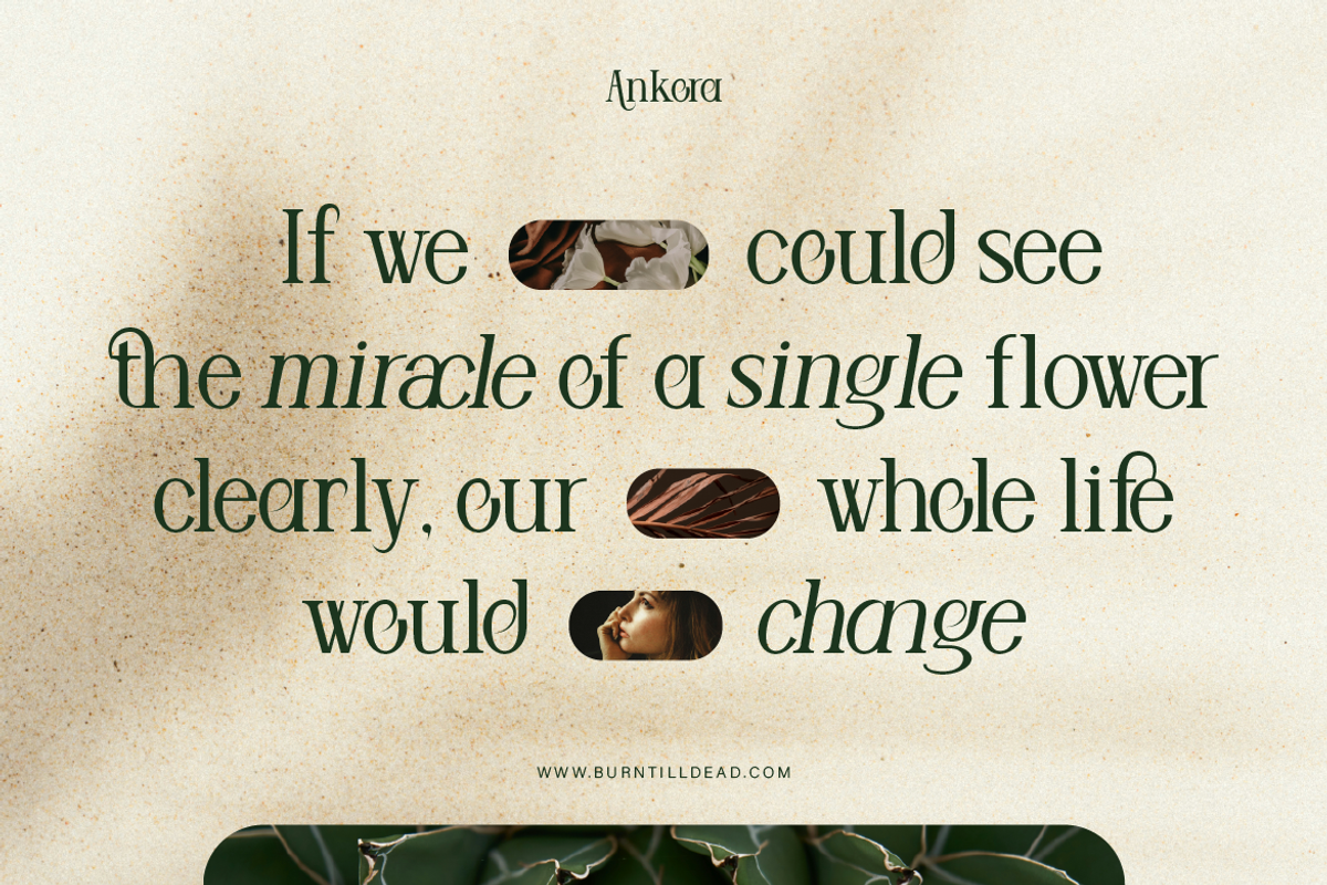 Ankora, a Serif Font by Burntilldead (Photo 13 of 13)