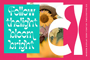 Weekly Sunday Modern Display Serif, a Serif Font by timelesstype.co (Thumbnail 14 of 20)